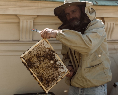 Na zdjęciu pszczelarz w jasnym kombinezonie z kapeluszem zakrywającym siateczką twarz. Pszczelarz trzyma w dłoniach ramkę z plastrem miodu na którym siedzą jeszcze pszczoły. Pszczelarz eksponuje ramkę do zdjęcia. W tle mury budynku.