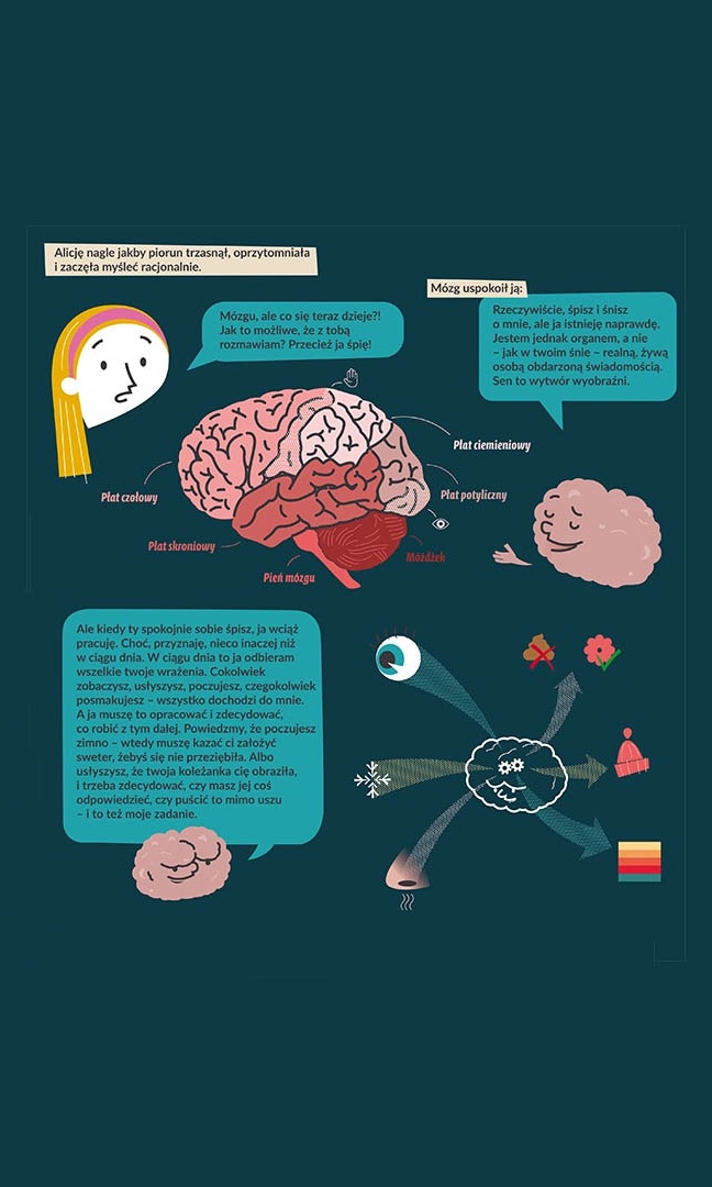 Grafika dotycząca pracy mózgu. Na granatowym tle znajduje się kilka kolorowych rysunków i dymków z napisami. Rysowana główka dziewczynki spogląda na rysunkowy, uśmiechnięty  mózg. Rozmawiają. Pomiędzy nimi jest rysunek mózgu, na którym zaznaczone i opisane są jego części składowe. Poniżej kolejny rysunek mózgu z buzią, do którego skierowany jest dymek z napisami.