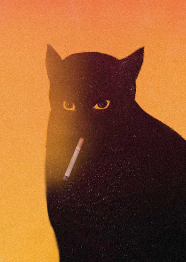 Plakat promujący spektakl pod tytułem "O kotach”. Na plakacie dominuje duża, czarna sylwetka kota. Kot ma duże, pomarańczowe oczy, a w pysku trzyma żarzącego się papierosa. Stoi przodem. Tło jest pomarańczowe, zachodzi lekką poświatą po prawej stronie kota.